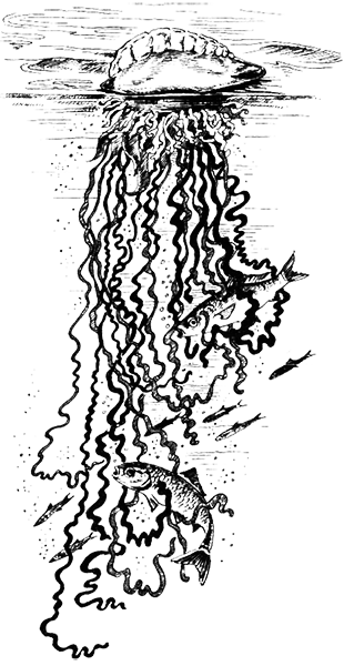 Простейшие. Губки. Кишечнополостные. Плоские черви. Круглые черви - i_023.png