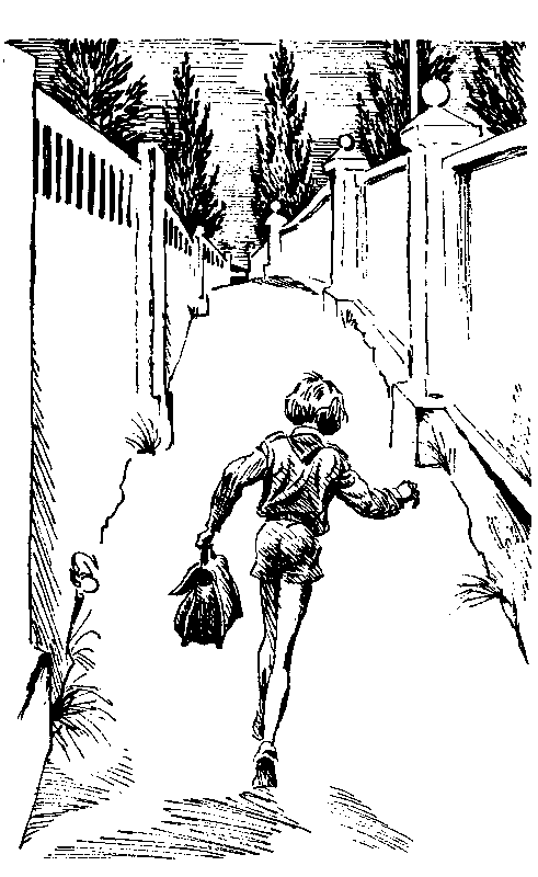 Избранное в 2 томах. Том 2 - pic_33.png