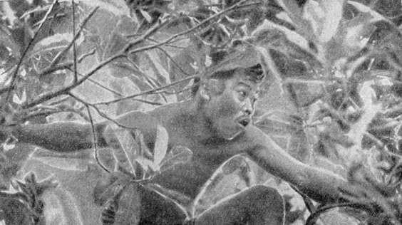 Чародеи с Явы - _1.jpg