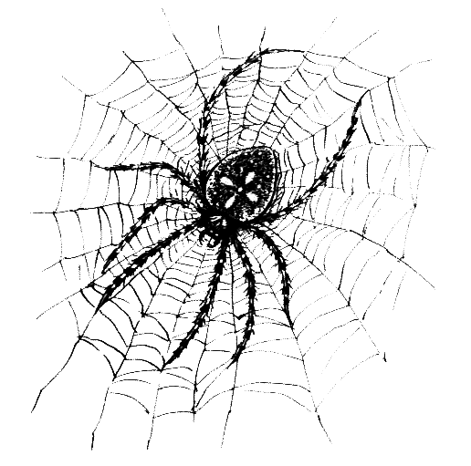 Членистоногие (Ракообразные. Паукообразные) - i_031.png