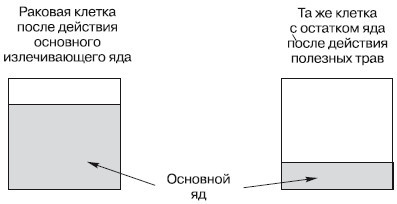 Рак. Практика исцеления и профилактика. Лечение ядами - i_014.jpg