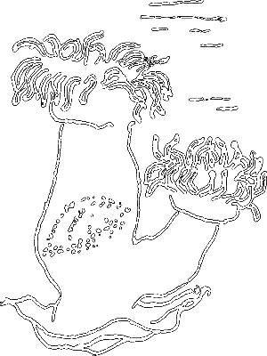 С утра до вечера - i_015.png