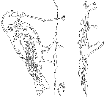 С утра до вечера - i_020.png