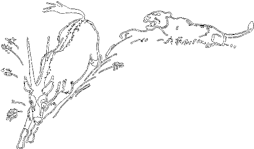 С утра до вечера - i_022.png