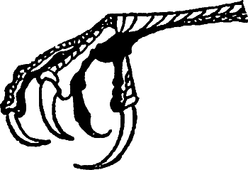 С утра до вечера - i_024.png