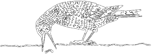 С утра до вечера - i_025.png