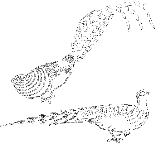 С утра до вечера - i_037.png