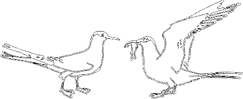 С утра до вечера - i_039.png