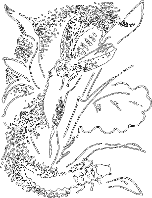 С утра до вечера - i_041.png