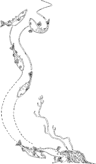 С утра до вечера - i_045.png