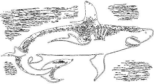 С утра до вечера - i_065.png