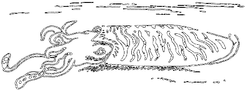 С утра до вечера - i_067.png