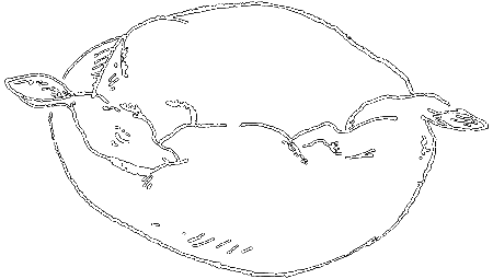 С утра до вечера - i_088.png