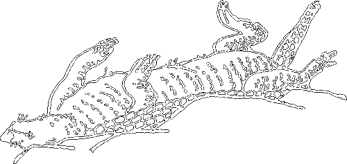 С утра до вечера - i_091.png