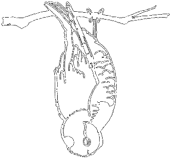 С утра до вечера - i_095.png