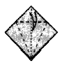 Путь воина. Путь меча. Путь дракона - i_016.png