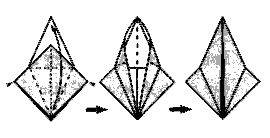 Путь воина. Путь меча. Путь дракона - i_017.png