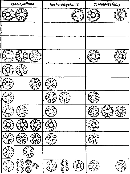 Что произошло 600 миллионов лет назад - i_020.png