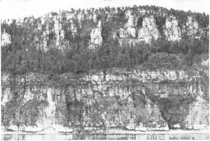 Что произошло 600 миллионов лет назад - i_035.jpg