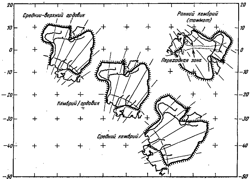 Что произошло 600 миллионов лет назад - i_036.png