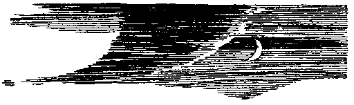 Талисман. Легенда о Монтрозе - pic_13.png