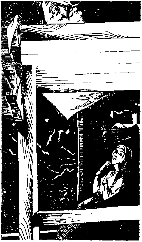 Талисман. Легенда о Монтрозе - pic_15.png