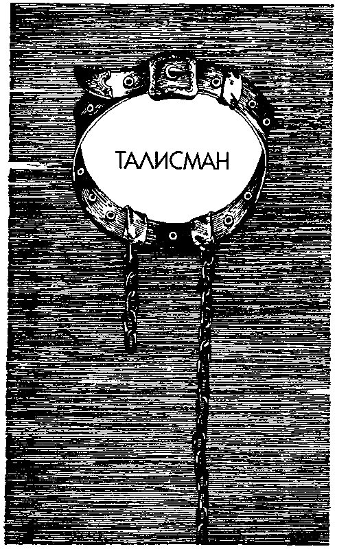 Талисман. Легенда о Монтрозе - pic_4.png