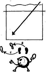 Учись играть в настольный теннис - any2fbimgloader4.png