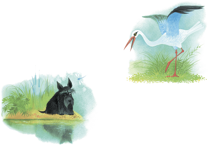 Храбрый Тилли и другие истории (сборник) - i_022.png