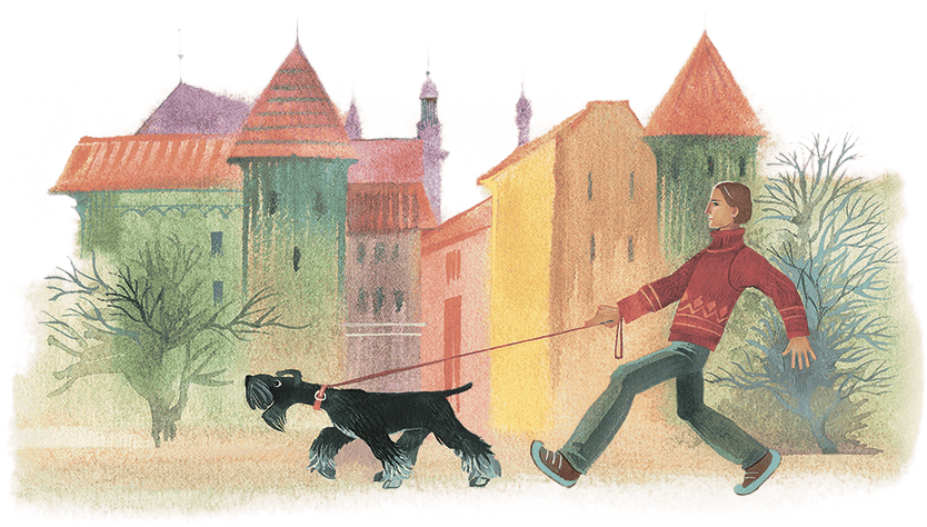 Храбрый Тилли и другие истории (сборник) - i_036.png