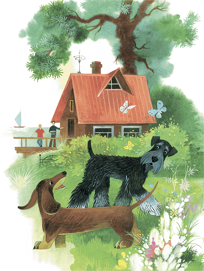 Храбрый Тилли и другие истории (сборник) - i_038.png