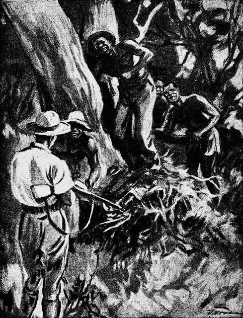 Всемирный следопыт 1926 № 04 - _45_str63.png