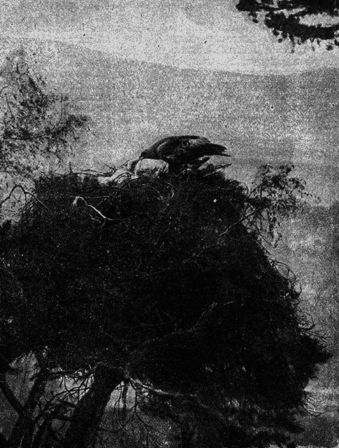 Всемирный следопыт 1926 № 06 - _30_dvestichasov.png