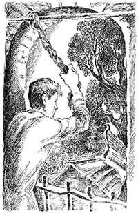 Одна лошадиная сила - pic_30.jpg