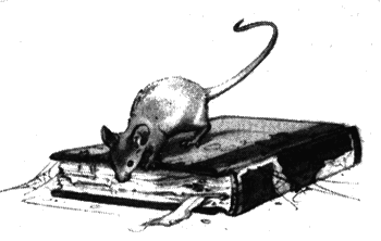 Драконы Обыкновенной фермы - i_014.png