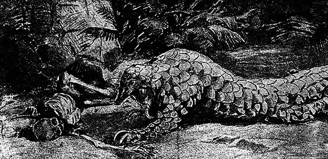 Всемирный следопыт 1929 № 12 - _08_str888.png