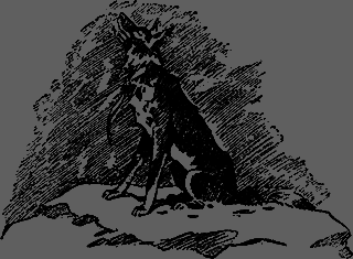 Всемирный следопыт 1929 № 12 - _16_str916.png