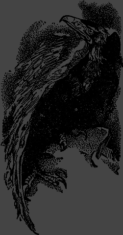 Всемирный следопыт 1929 № 12 - _42_str950.png