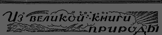 Всемирный следопыт 1929 № 12 - _45_izknigi.png