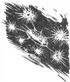 Должен жить - pic_14.jpg