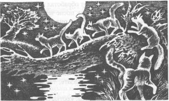 Знамение Луны - pic_16.jpg