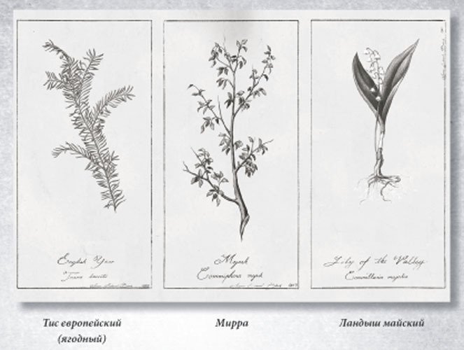 Химера - i_002.jpg