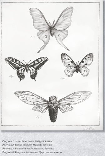 Химера - i_003.jpg