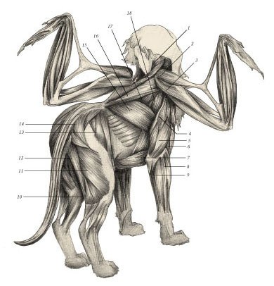 Химера - i_016.jpg