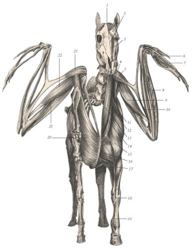 Химера - i_085.jpg