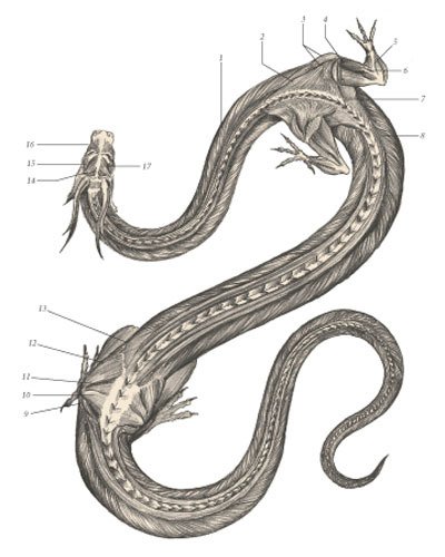 Химера - i_089.jpg