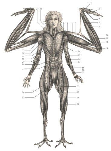 Химера - i_107.jpg