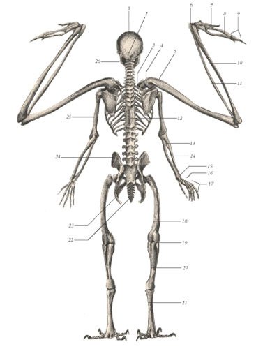 Химера - i_108.jpg