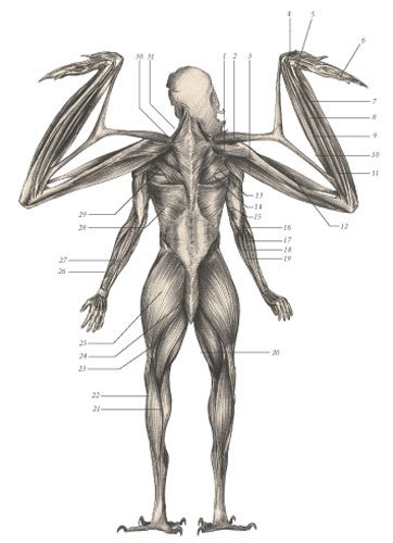 Химера - i_109.jpg