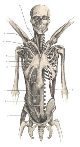 Химера - i_110.jpg